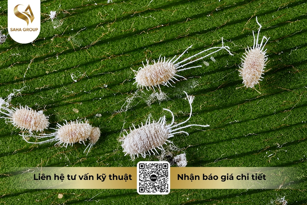 cong-dung-thuoc-tru-sau-vt-lamic-15wp-hieu-ungrep.jpg
