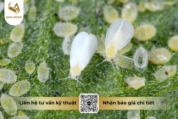 cong-dung-thuoc-tru-sau-vt-flor-30sc-hieu-borep-300.jpg