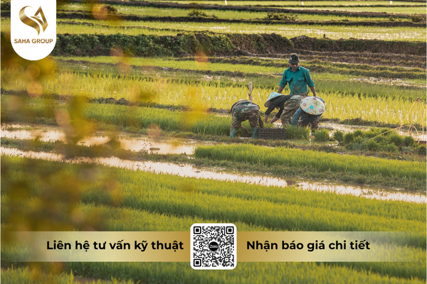THU PHƯƠNG - SEO SẢN PHẨM SAHA .png