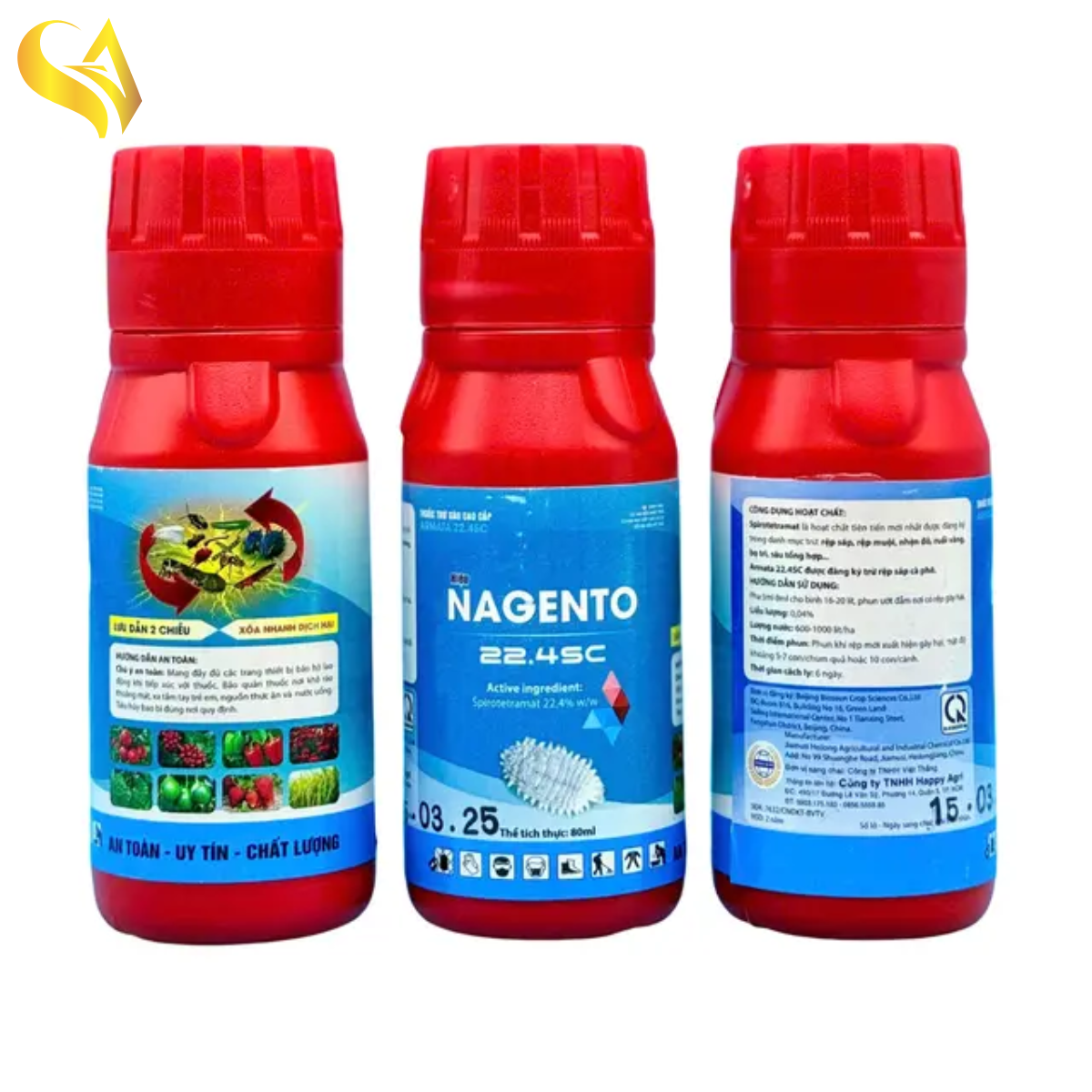Cặp Đôi Regink