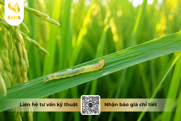 cong-dung-thuoc-tru-sau-chessin-600wp-hieu-sanchesss-600.png