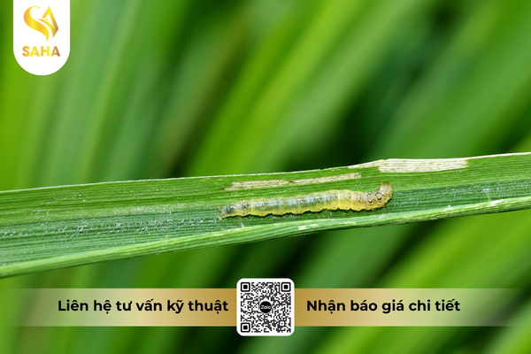 cau-hoi-thuong-gap.png