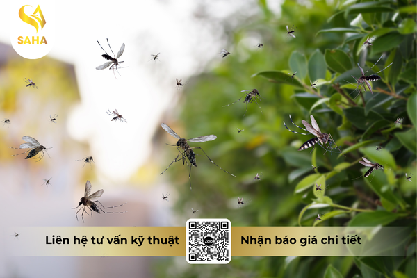 cong-dung-thuoc-tru-sau-chessin-600wp-hieu-sanchesss-600.png