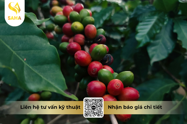 cau-hoi-thuong-gap.png