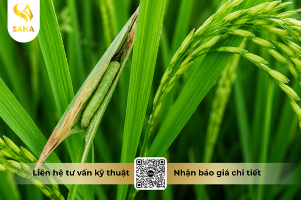 cong-dung-thuoc-tru-sau-chessin-600wp-hieu-sanchesss-600.png