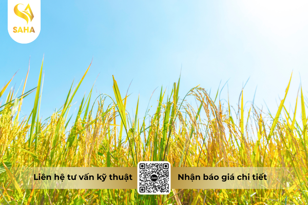 cau-hoi-thuong-gap.png