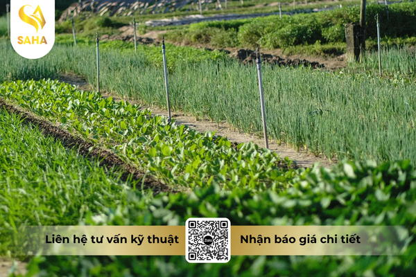 cau-hoi-thuong-gap.png
