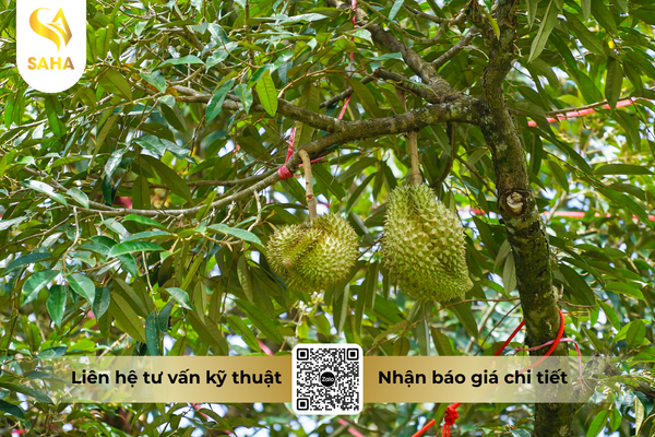 cau-hoi-thuong-gap.png