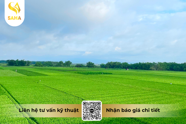 cau-hoi-thuong-gap.png