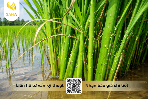 cong-dung-thuoc-tru-sau-chessin-600wp-hieu-sanchesss-600.png