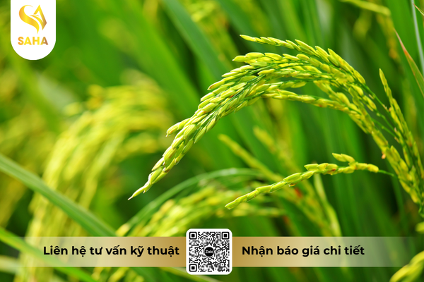 cau-hoi-thuong-gap.png