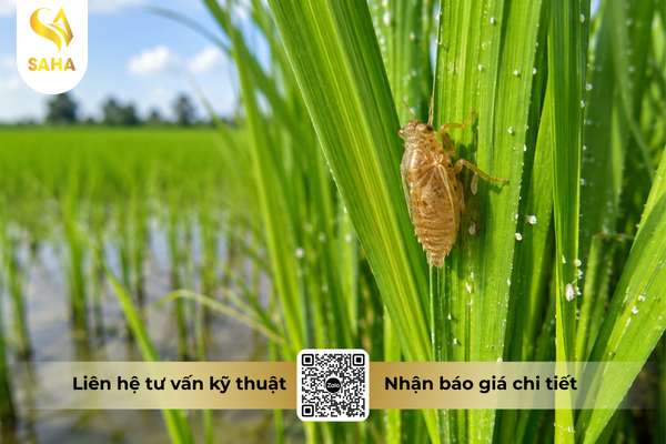 cong-dung-thuoc-tru-sau-chessin-600wp-hieu-sanchesss-600.png