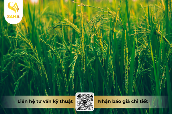 cau-hoi-thuong-gap.png