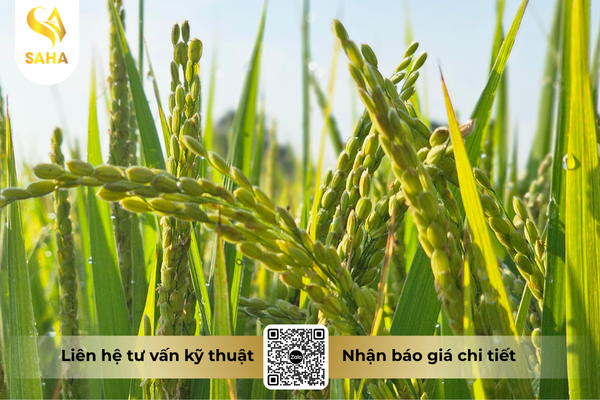 cau-hoi-thuong-gap.png