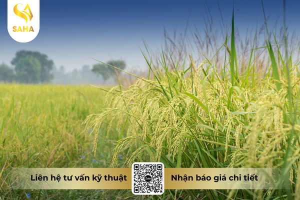 cau-hoi-thuong-gap.png