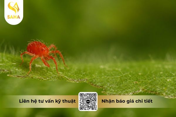 cong-dung-thuoc-tru-sau-chessin-600wp-hieu-sanchesss-600.png