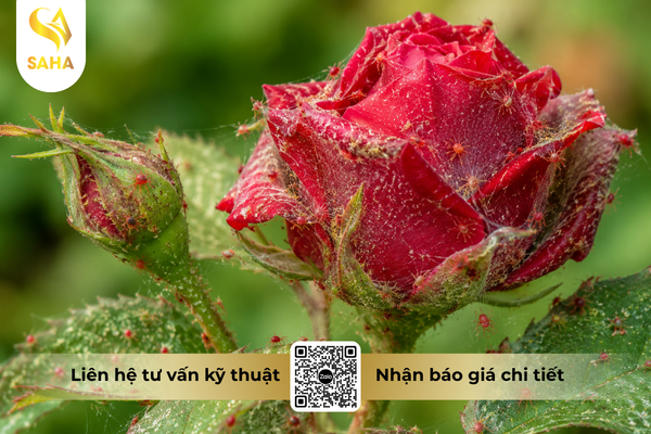 cong-dung-thuoc-tru-sau-chessin-600wp-hieu-sanchesss-600.png