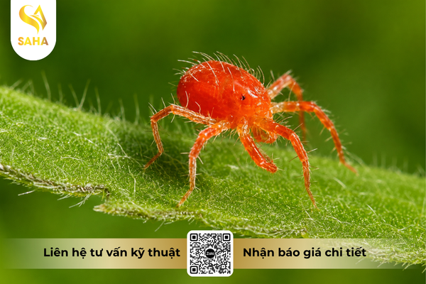 cau-hoi-thuong-gap.png
