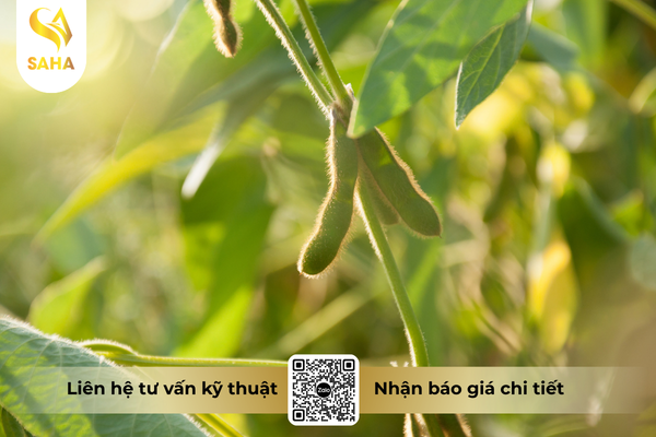 cau-hoi-thuong-gap.png