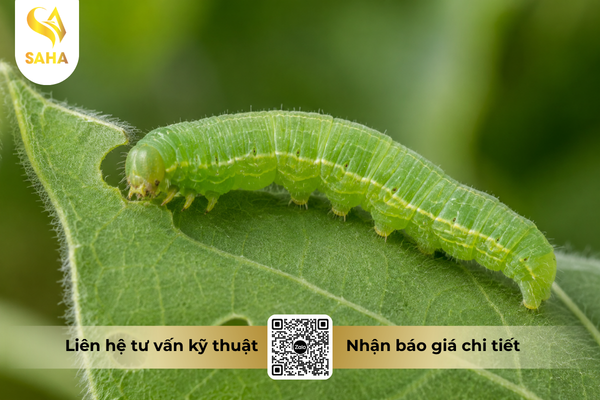 cong-dung-thuoc-tru-sau-chessin-600wp-hieu-sanchesss-600.png