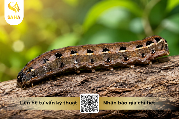 cong-dung-thuoc-tru-sau-chessin-600wp-hieu-sanchesss-600.png