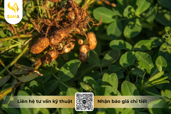 cau-hoi-thuong-gap.png