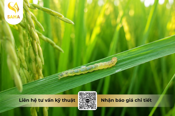 cong-dung-thuoc-tru-sau-nas-60ec-hieu-sanaba-6-0.jpg