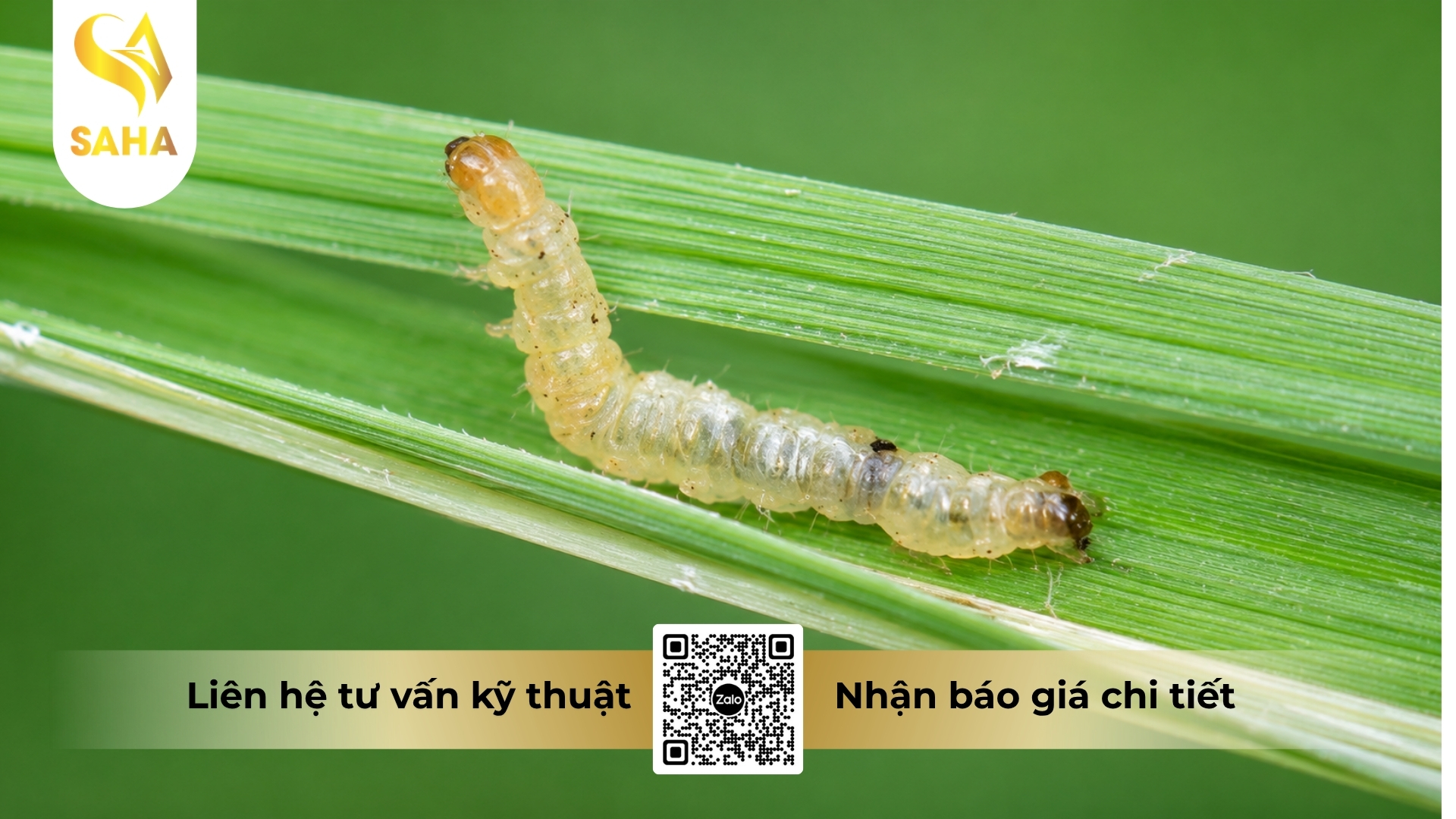 cau-hoi-thuong-gap.jpg