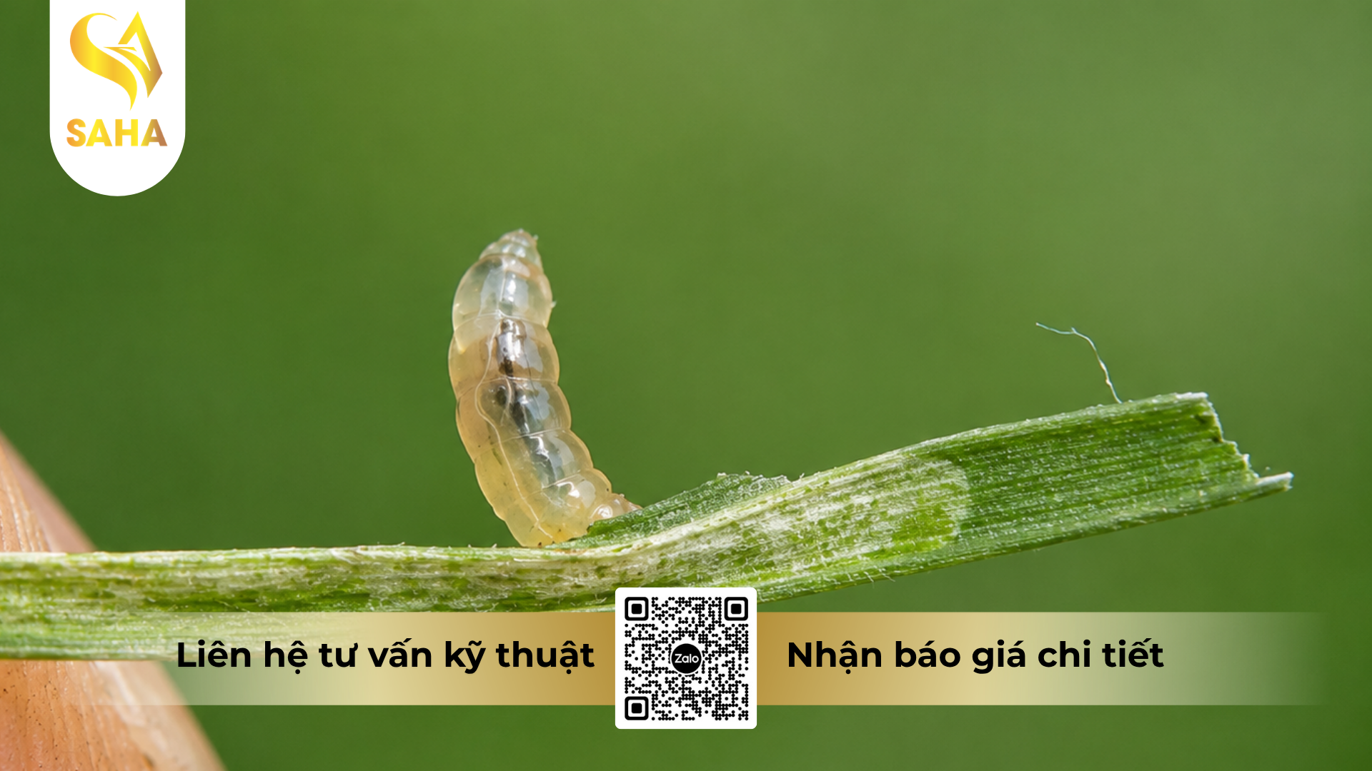 cau-hoi-thuong-gap-ve-thuoc-tru-sau-agri-one-1sl-hieu-no-nhen-100.png