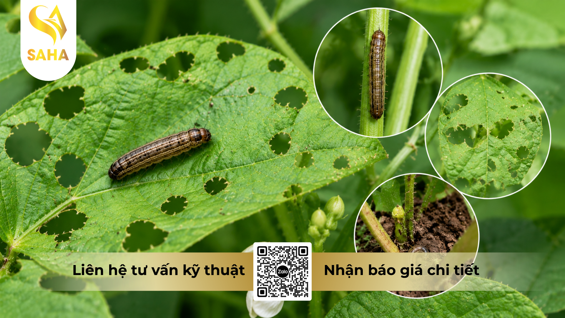 cong-dung-noi-bat-cua-thuoc-tru-sau-agri-one-1sl-hieu-no-nhen-100.png