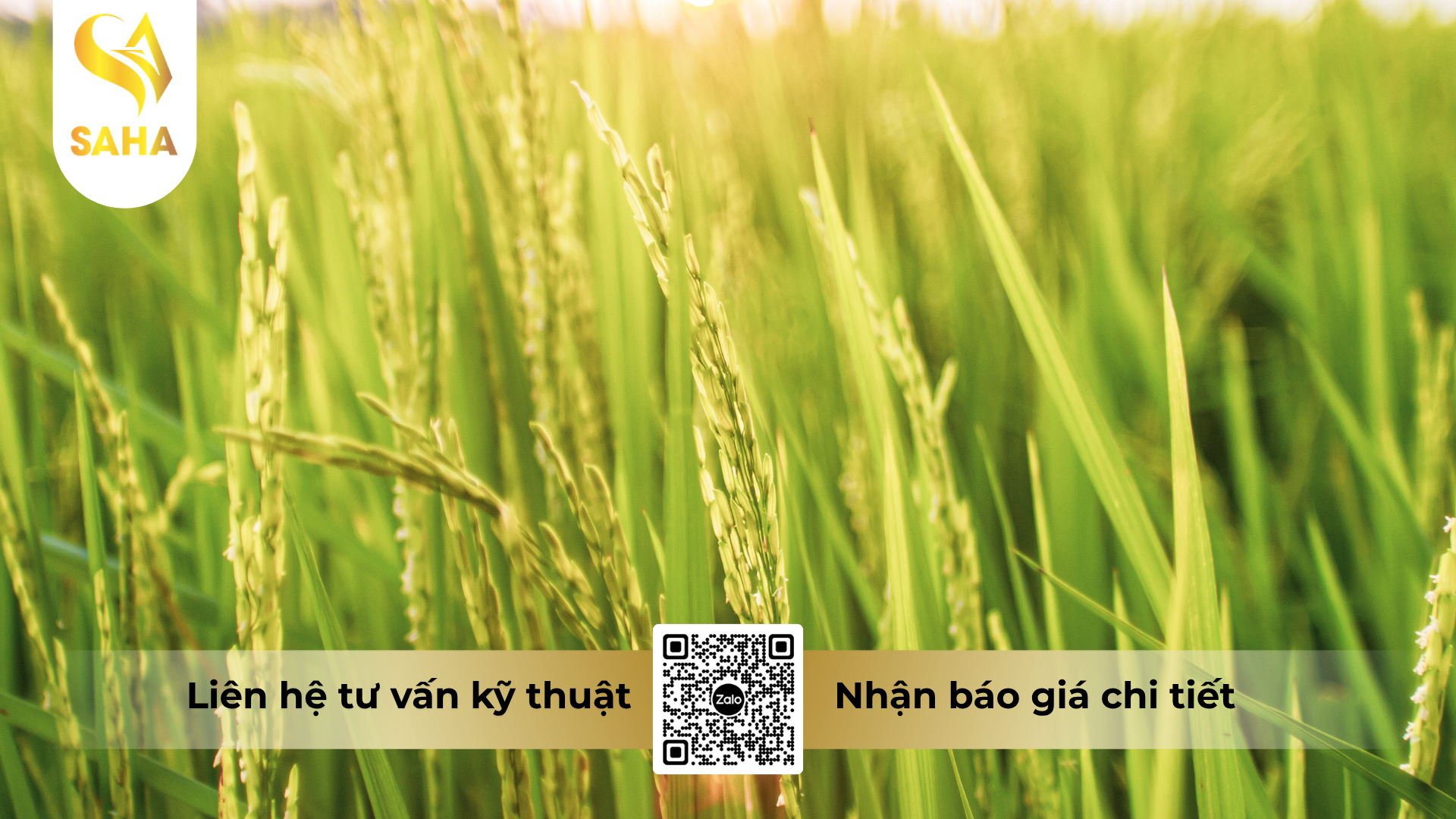 cau-hoi-thuong-gap-ve-thuoc-tru-sau-yapoko-250sc-hieu-nohako-250.png