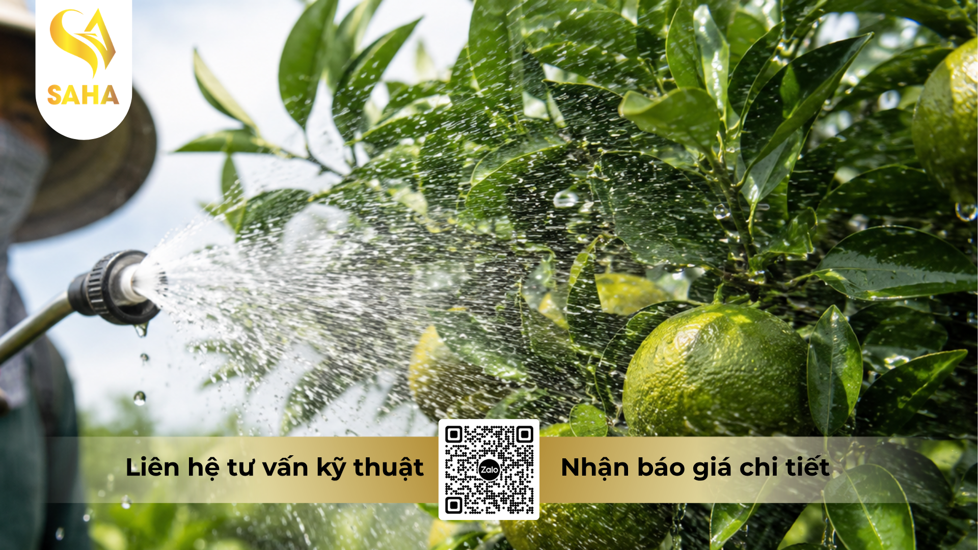 huong-dan-su-dung-thuoc-tru-sau-bacca-80wg-hieu-sansulfur-india-800.png
