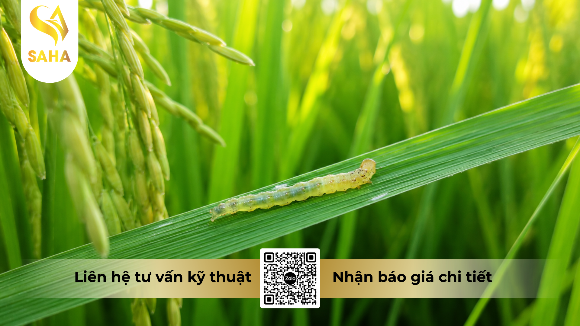 cong-dung-cua-thuoc-tru-sau-bnongduyen-4-0ec-hieu-pometin-4-0.png