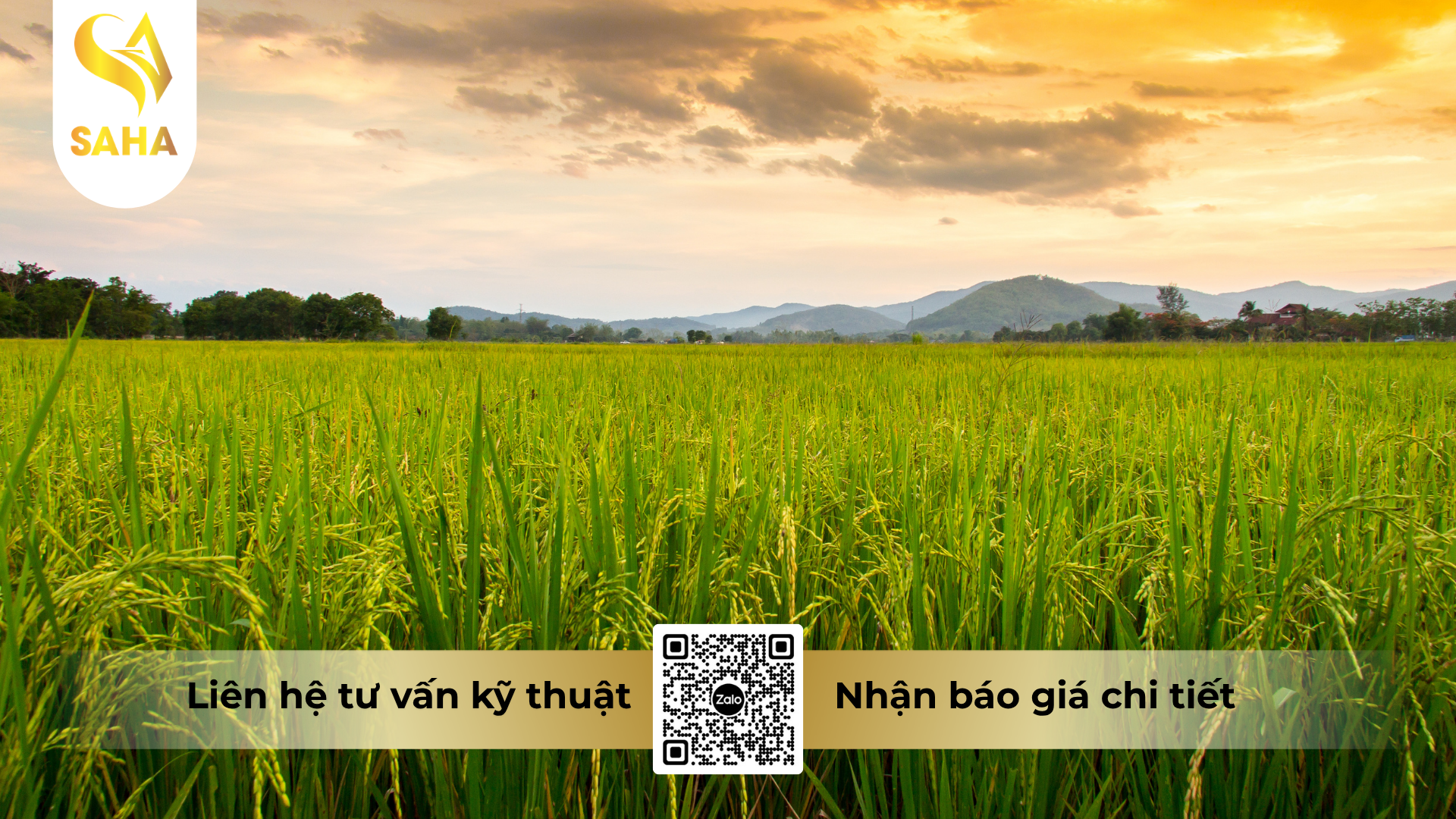 cau-hoi-thuong-gap-ve-thuoc-tru-sau-bnongduyen-4-0ec-hieu-pometin-4-0.png