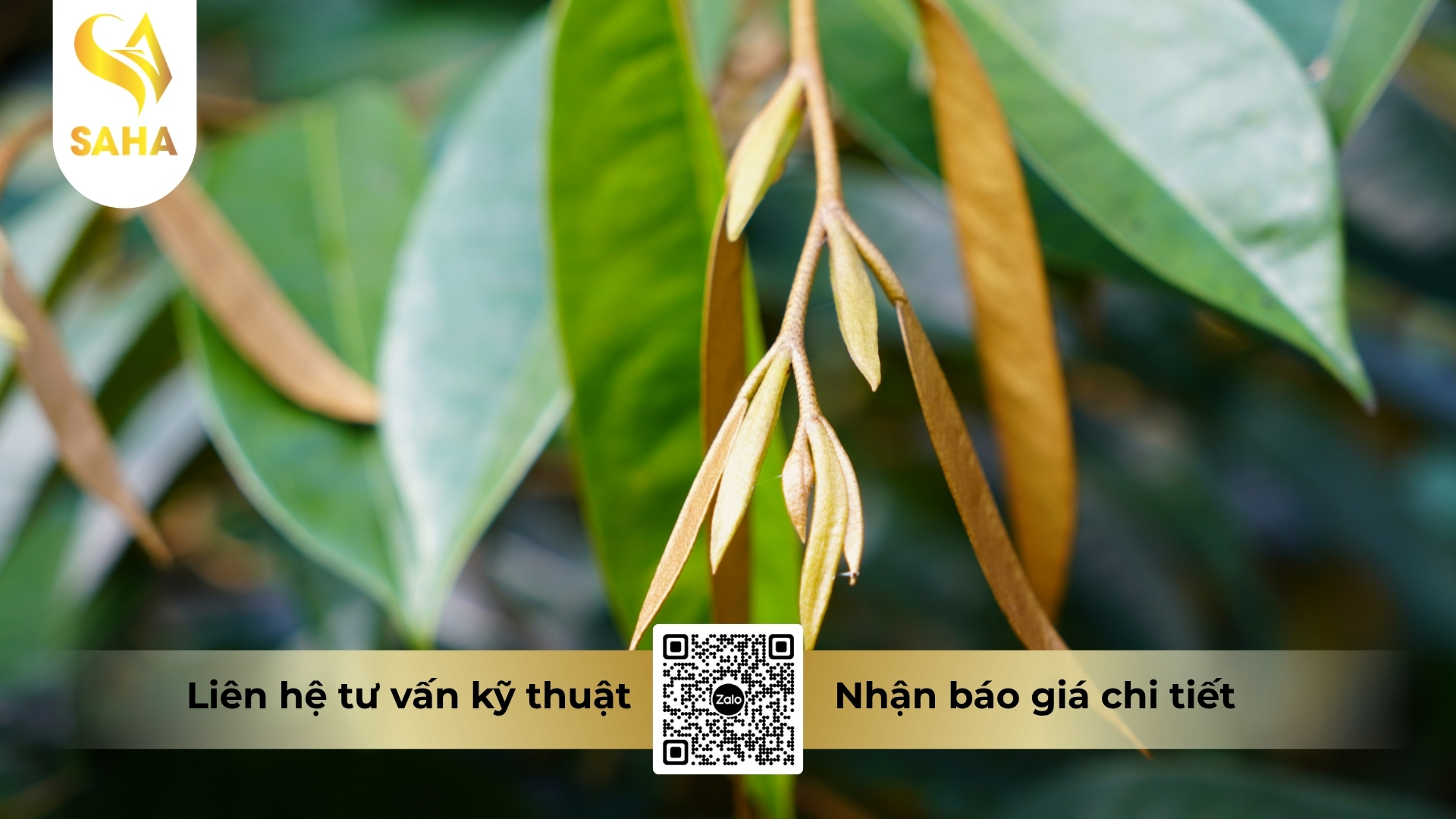 cong-dung-phan-bon-vi-luong-abc-bobomic-hieu-chan-dot-thai.jpg