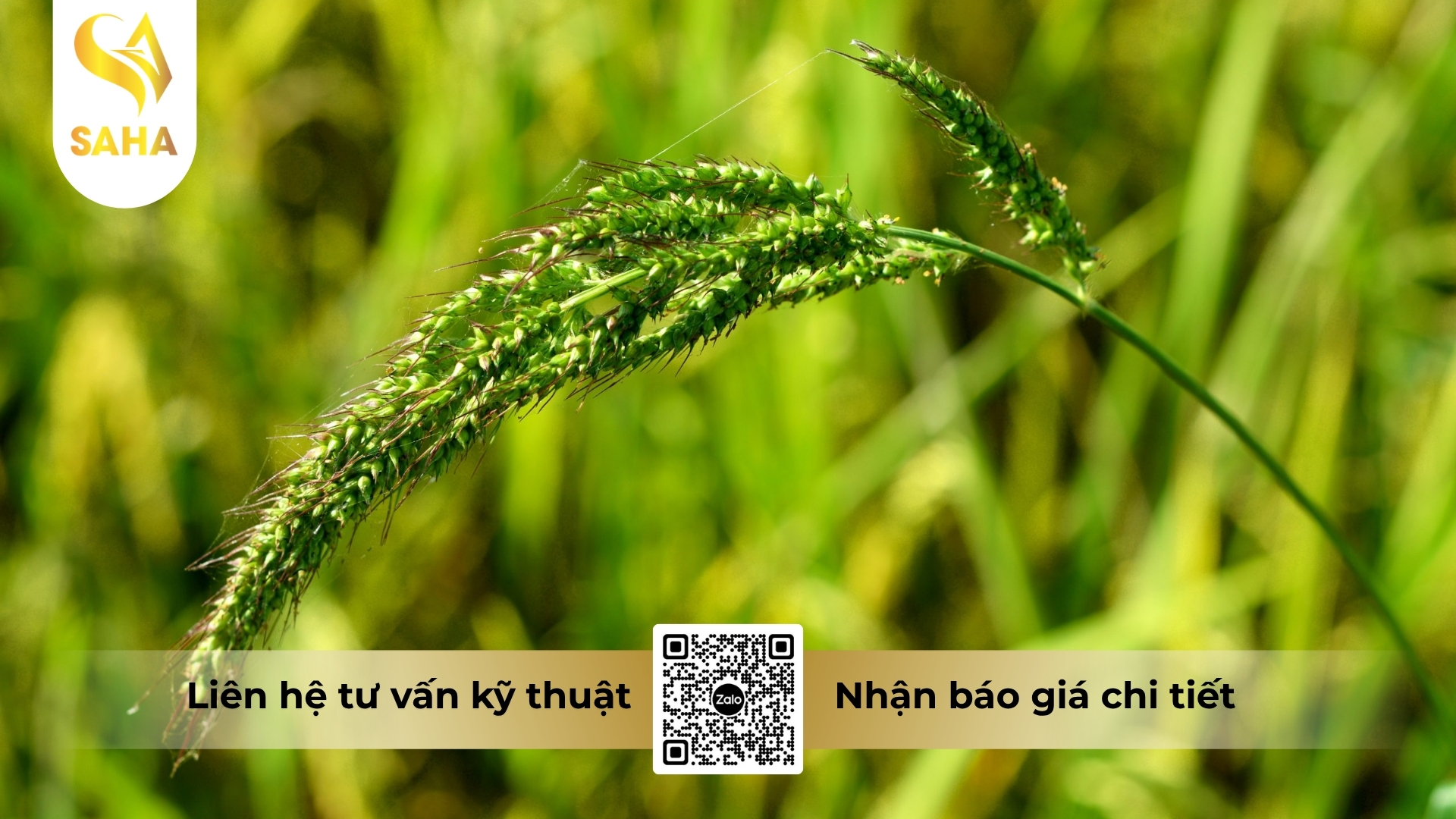 cong-dung-thuoc-tru-co-glufocide-200sl-hieu-ronup-480-4,5l.jpg