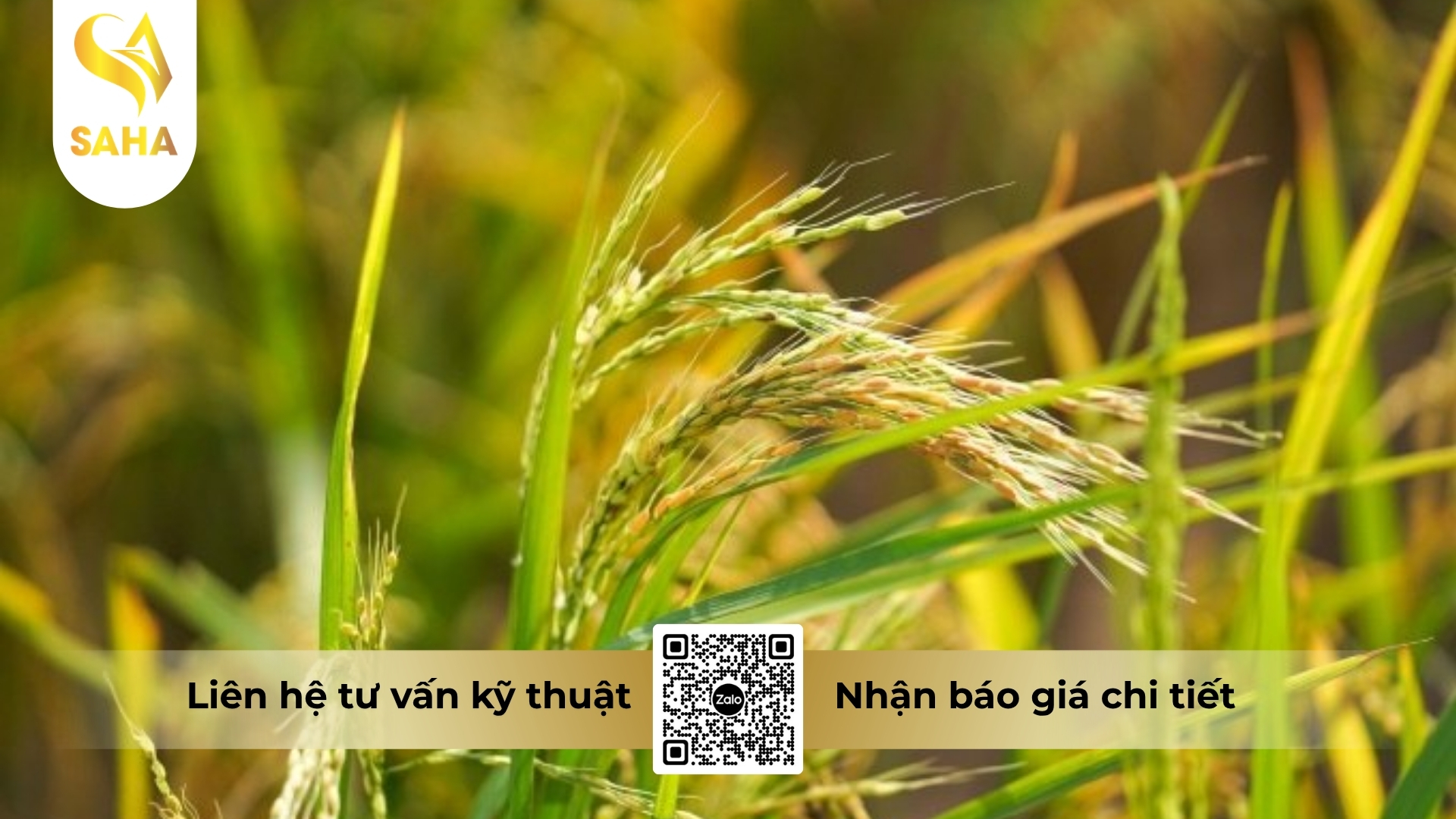 cau-hoi-thuong-gap.jpg