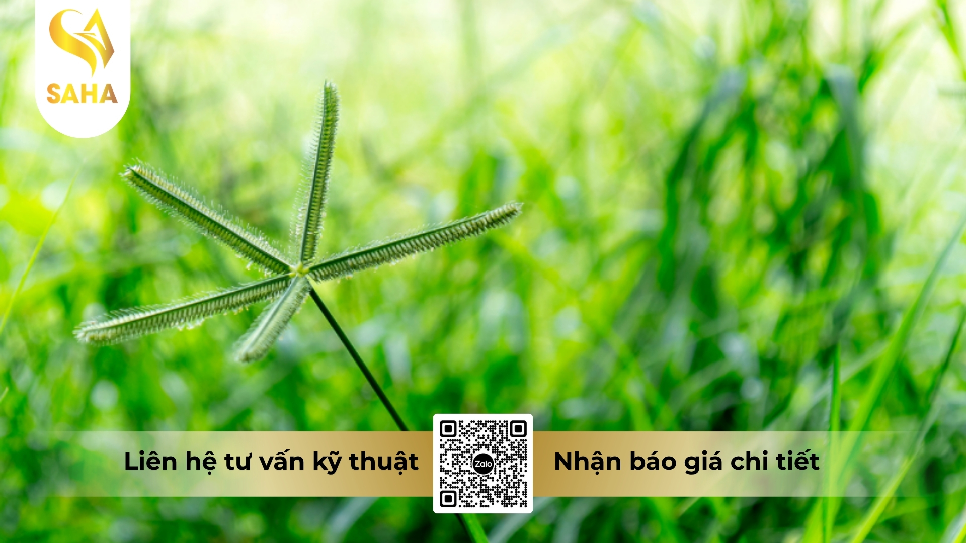 cau-hoi-thuong-gap.jpg