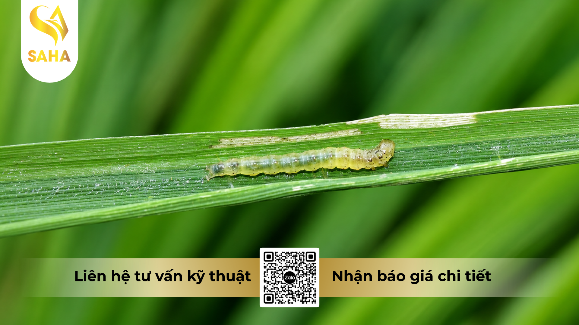 cong-dung-cua-thuoc-tru-sau-confitin-18ec.png
