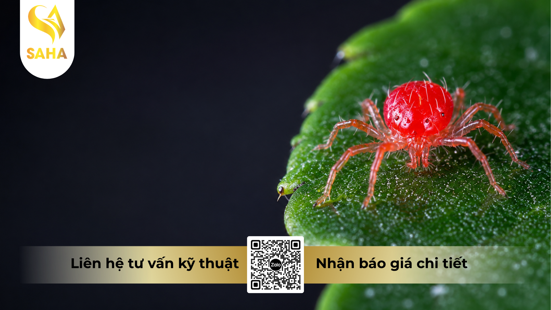 cong-dung-cua-cap-nhen-tim.png
