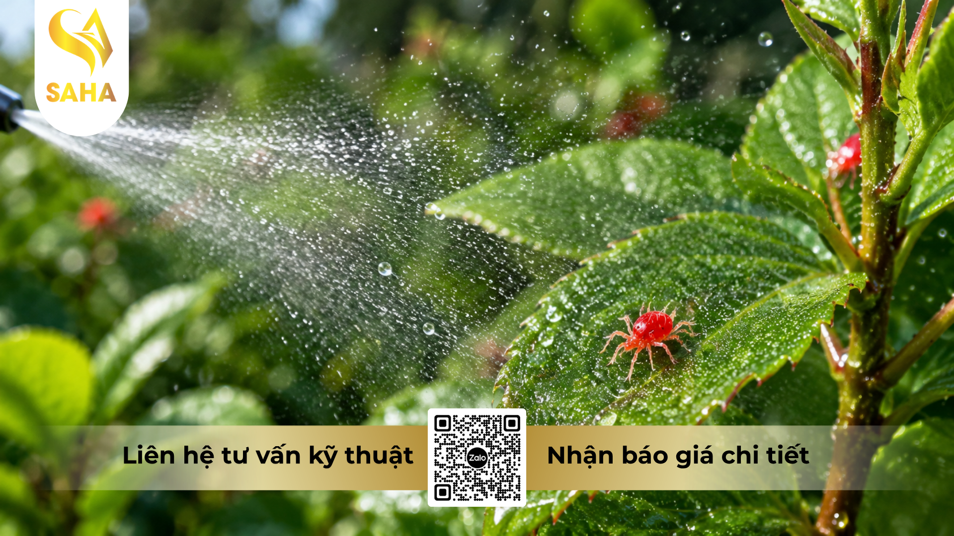 huong-dan-su-dung-cap-nhen-tim.png