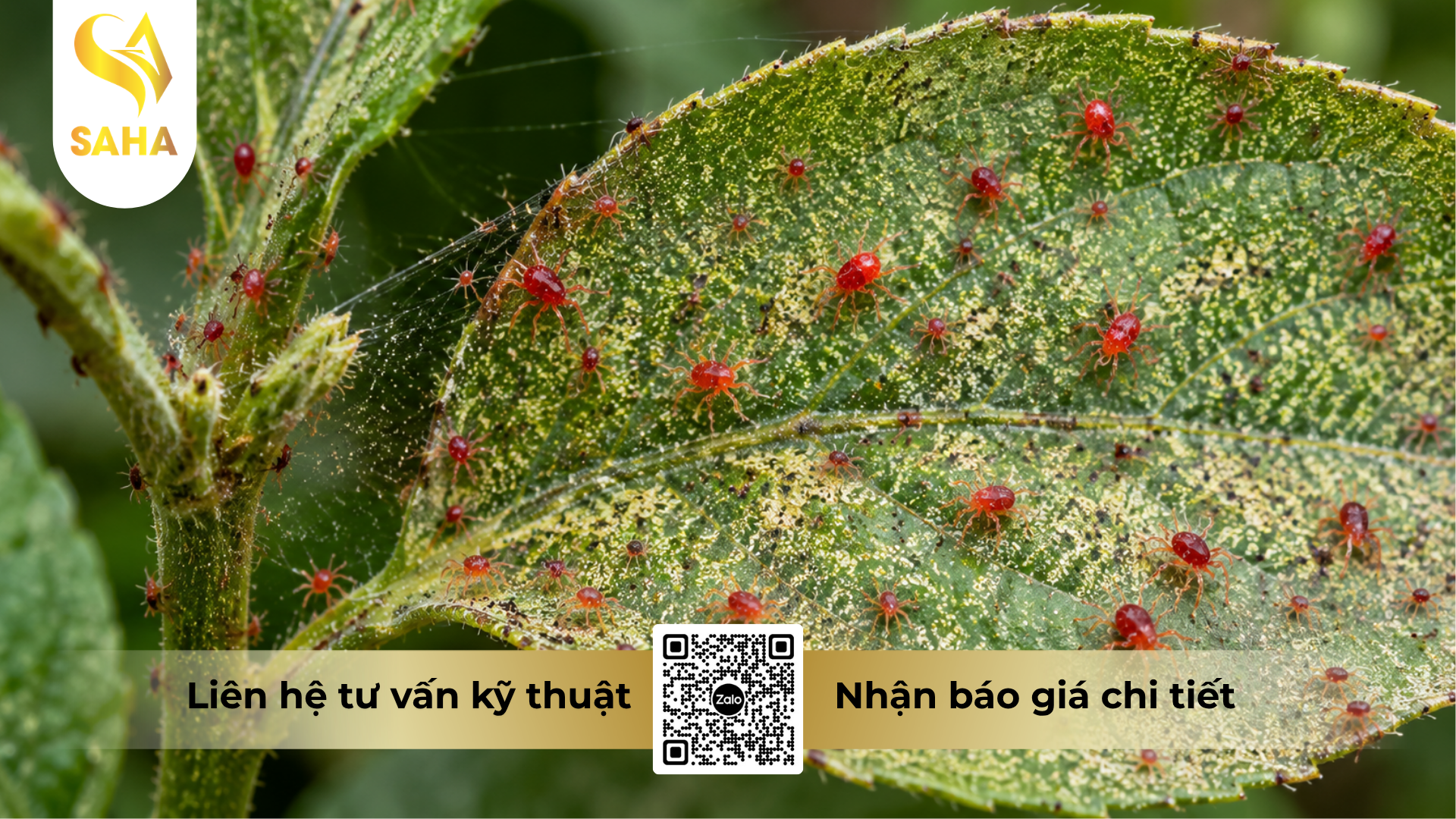 cong-dung-cua-cap-nhen-do.png