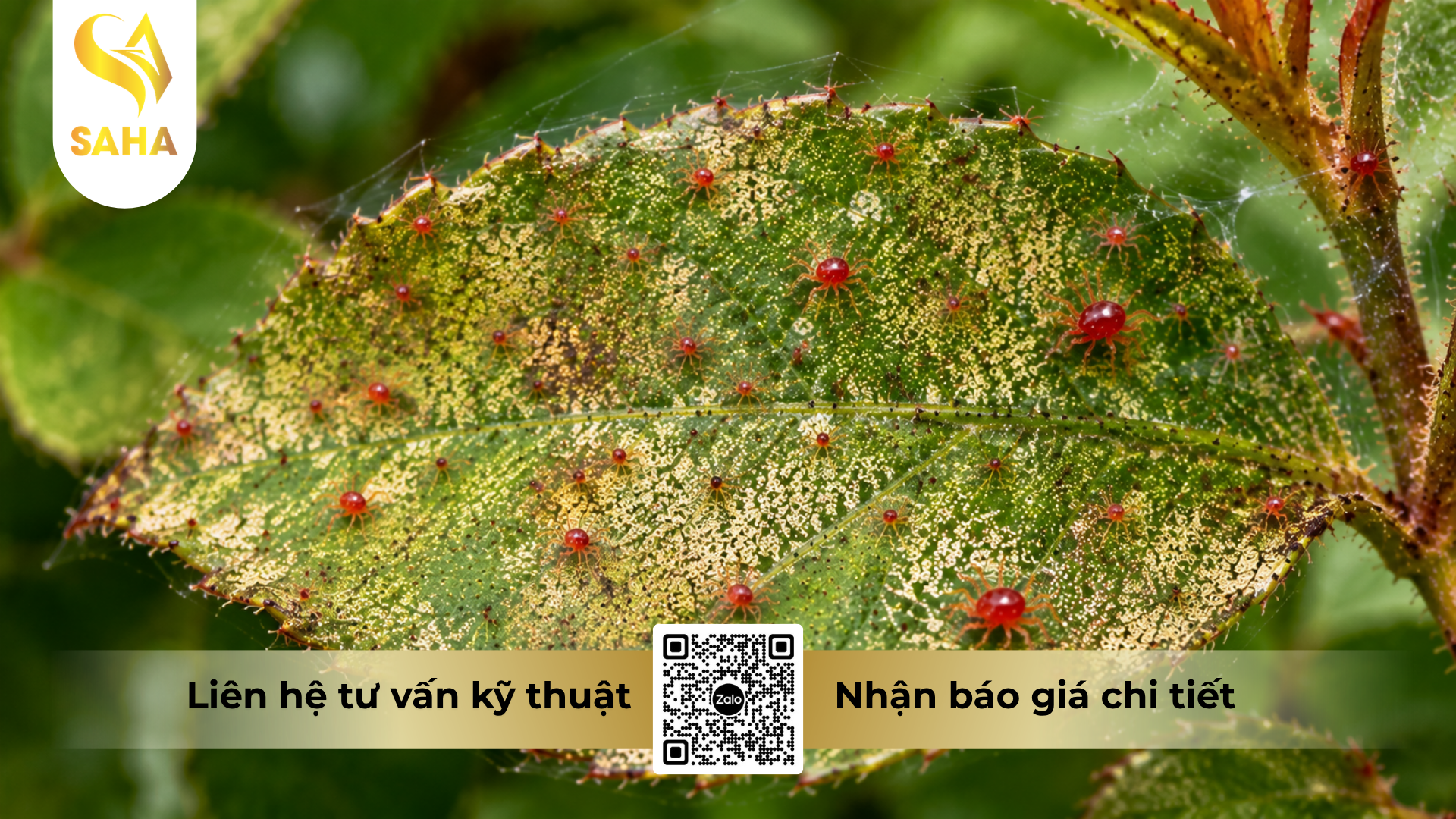 cong-dung-cua-cap-doi-sieu-tro-luc-tri-nhen.png
