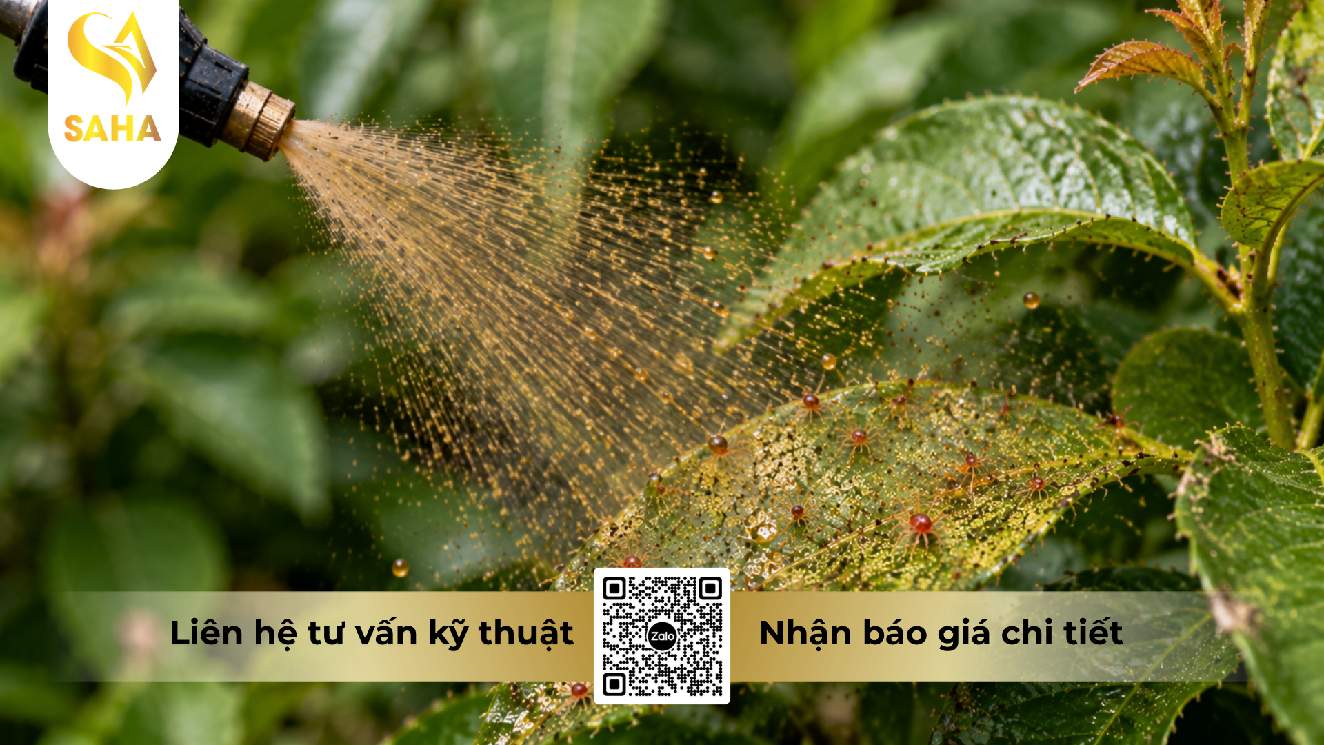 huong-dan-su-dung-cap-doi-tro-luc-tri-nhen.png