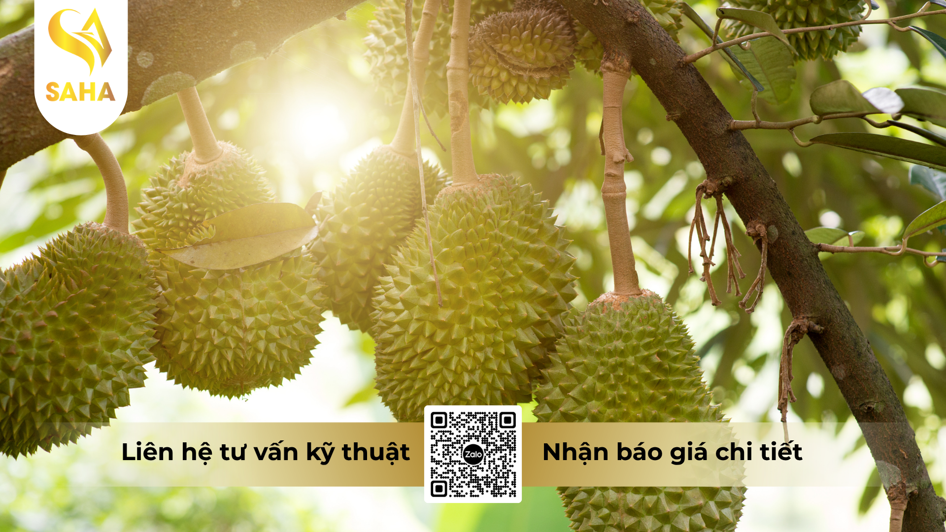cong-dung-cua-phan-bon-la-trung-luong-dassak-hieu-spider-s20.png