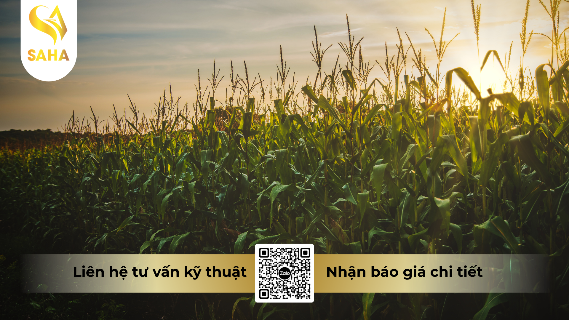 cau-hoi-thuong-gap-ve-thuoc-tru-sau-difeggo-42sc.png