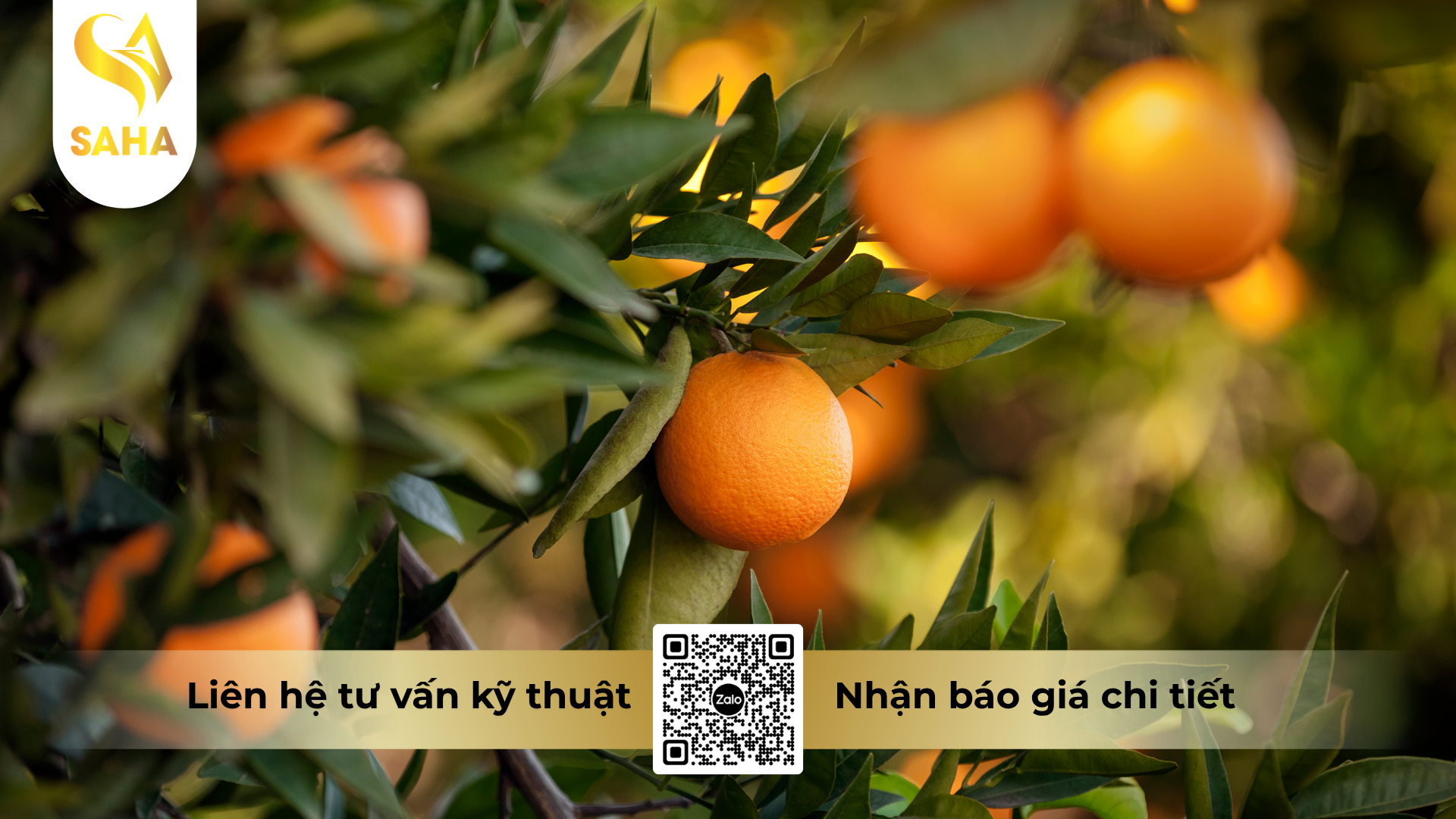 cau-hoi-thuong-gap-ve-thuoc-tru-sau-nhen-dugamite-275ec-hieu-spider-kill.png