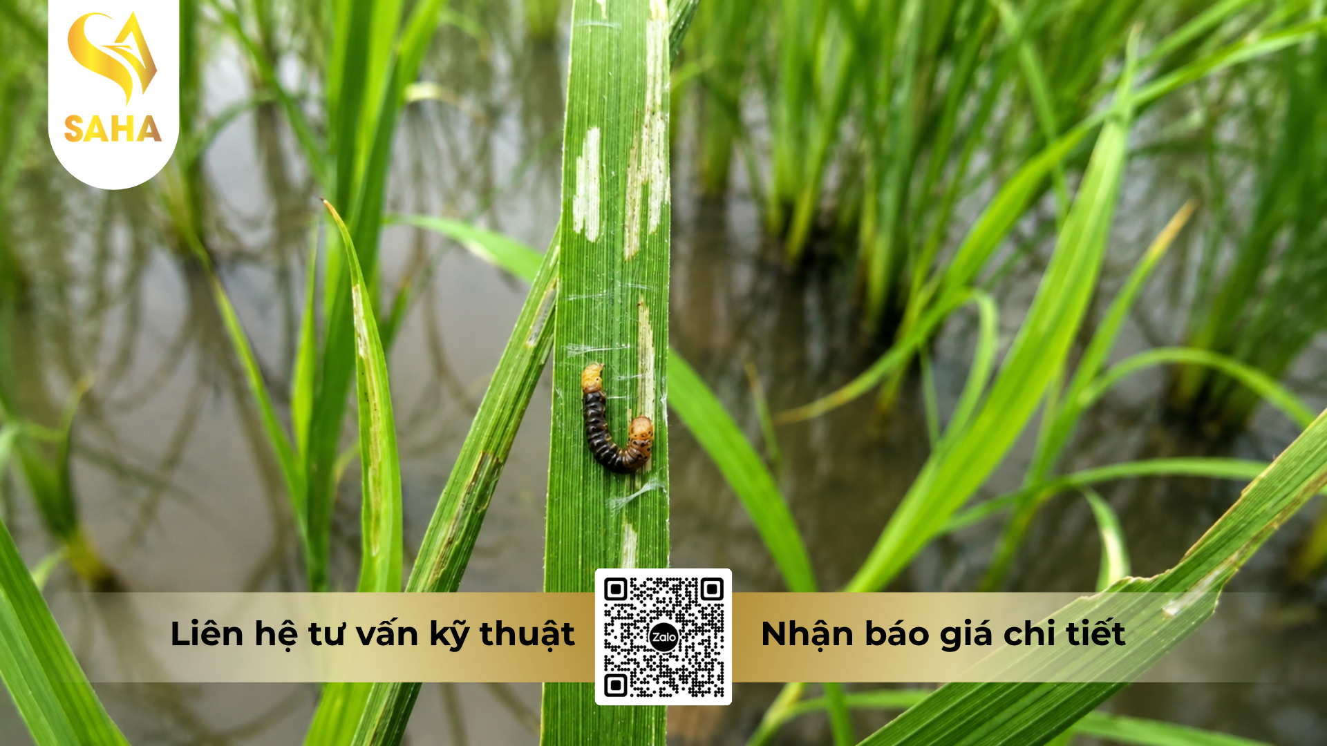 cong-dung-cua-thuoc-tru-sau-dugamite-275ec-hieu-paider-kill.png
