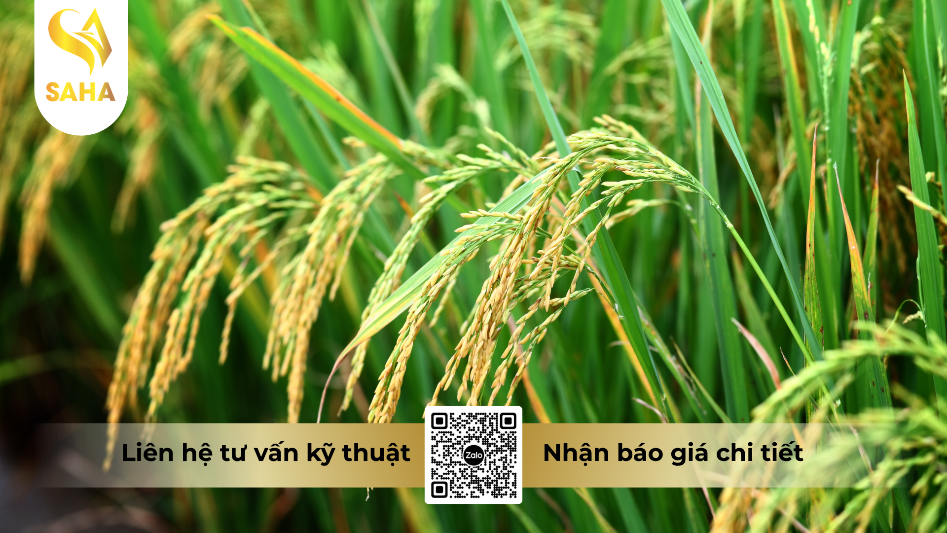 cau-hoi-thuong-gap-ve-thuoc-tru-sau-dugamite-275ec-hieu-paider-kill.png