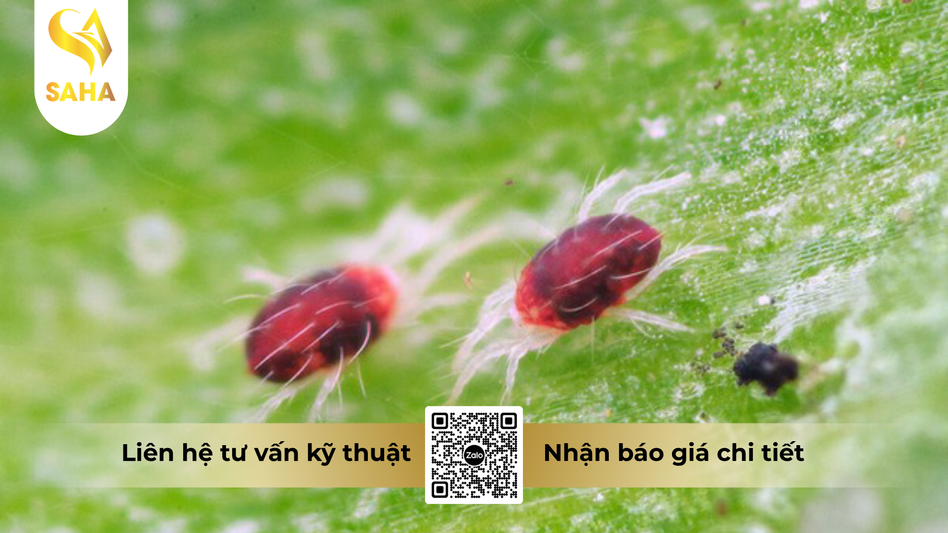 cong-dung-cua-thuoc-tru-sau-hacomai-57ec-hieu-batnhen-570.png